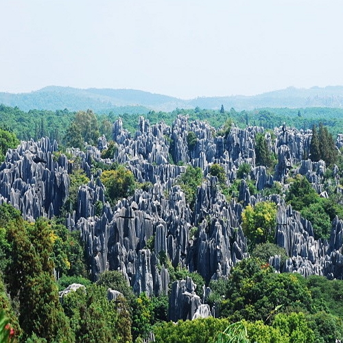 Stenen Woud, Kunming